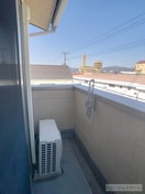  グレイスコートつる