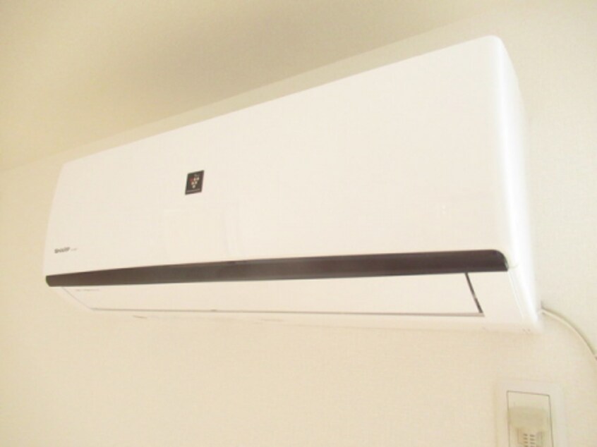  ホワイトクレイン野洲