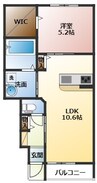 ラフィネ西今 1LDKの間取り