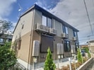 スターチスの外観