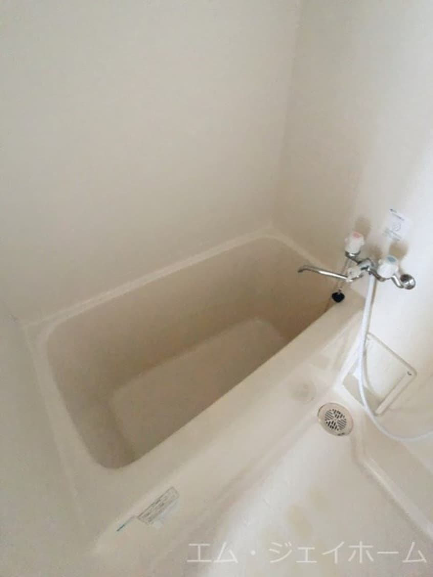  エバーグリーン植政