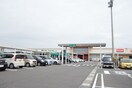 スーパーまで800m※フレンドマート　甲南店 ジョイ　アルミュール　Ｃ