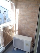  アガパンサスⅡ