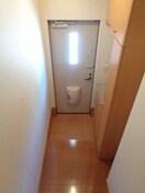  アガパンサスⅡ