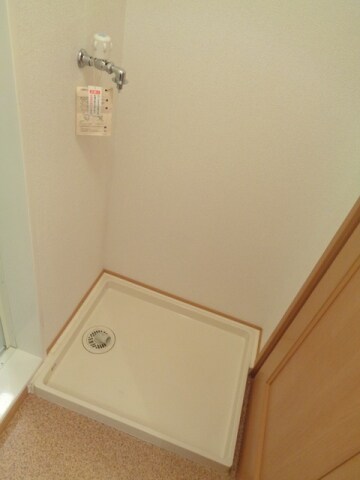  アガパンサスⅡ