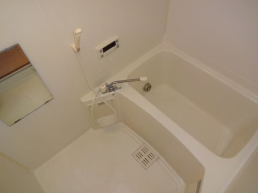  Ｂｅｌｌｅ　Ｓｈｉｎｅ　B