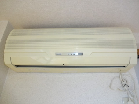  Ｂｅｌｌｅ　Ｓｈｉｎｅ　B