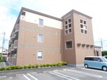 シーダー　コート