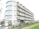 スイーヤー将の外観