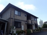 Ｒａｄｉｘ Ｔａｕｃｈｉ　Ⅰ