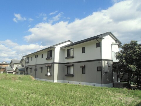  アラサンテコジマ