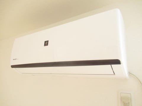  ホワイトクレイン野洲