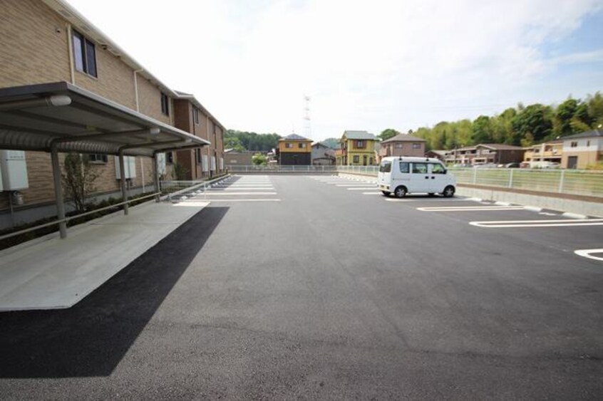  ラズベリー　コート