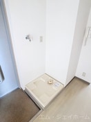  エバーグリーン植政