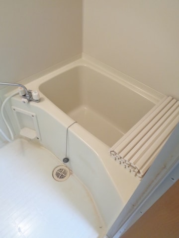  カーペンターハウスⅤ