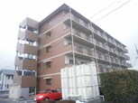 エルフォート31