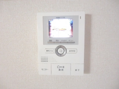  サニーリュート