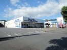 スーパーまで700m※サンディ　大津際川店 サンキエーム園