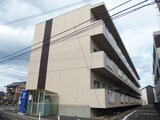 カルフールⅤ