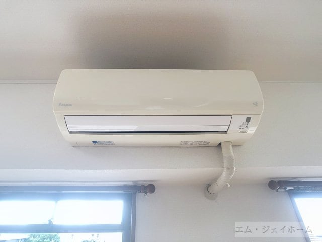  パールグレイス