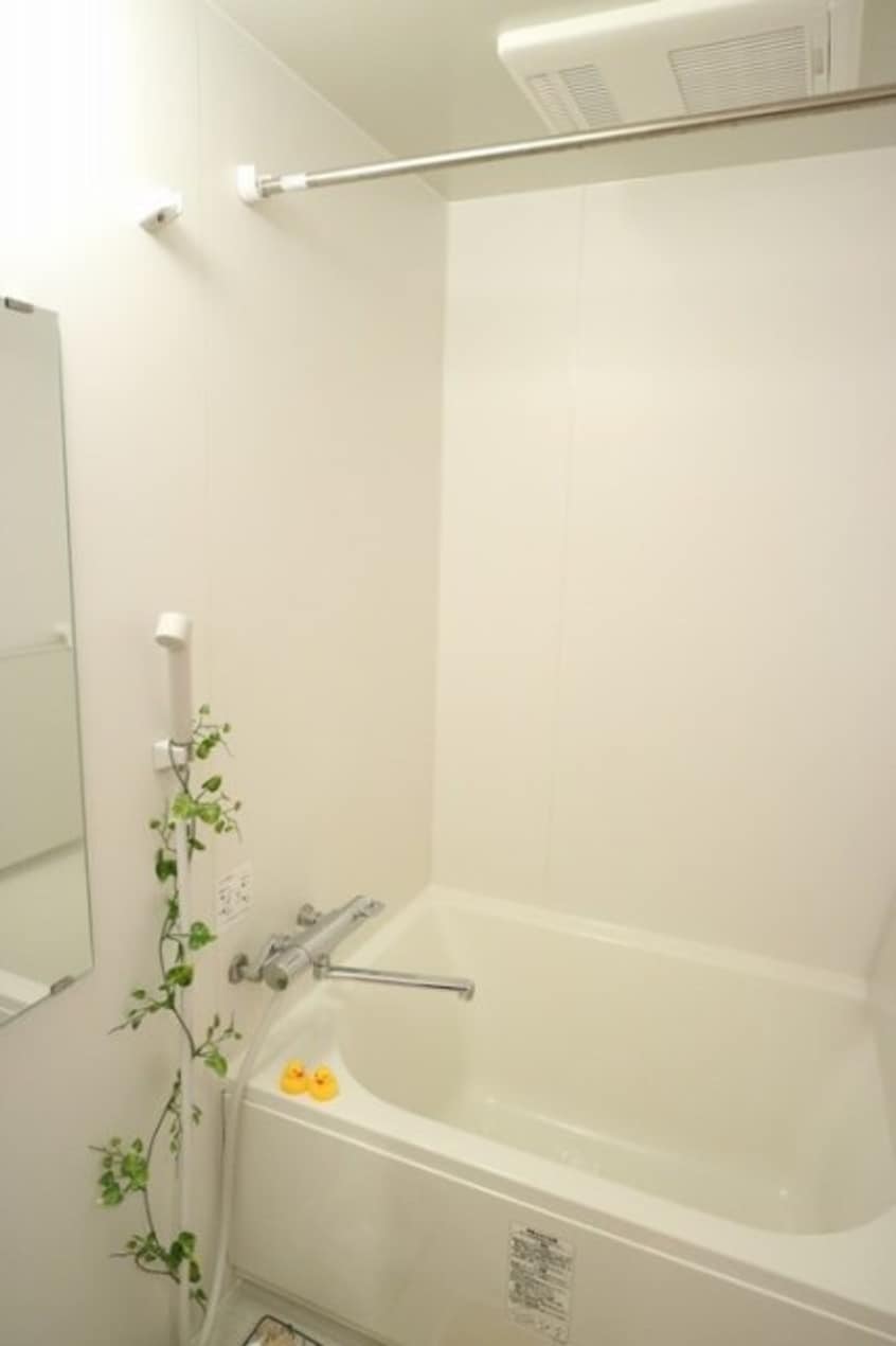  フレマリール林