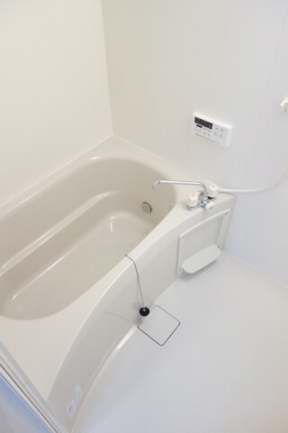  サンシャイン飛竜