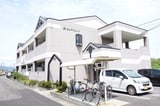 ピュアフレンド