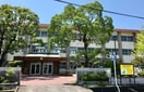 小学校まで800m※甲賀市立柏木小学校 ハンズレジデンス北脇　B棟