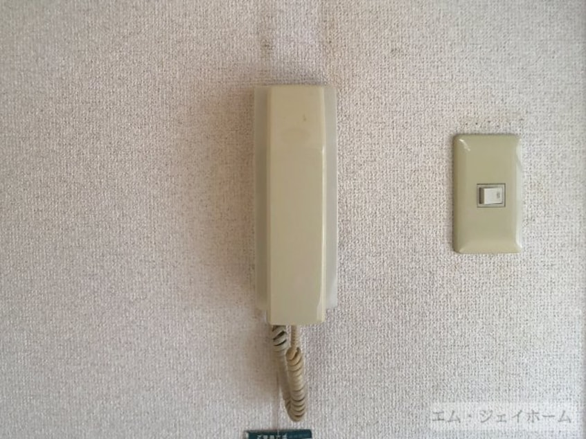  レイクパレスNasuⅡ