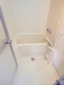  サラナフラット