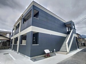 シュシュさくらの