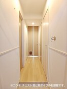  ノルド　フィウーメ