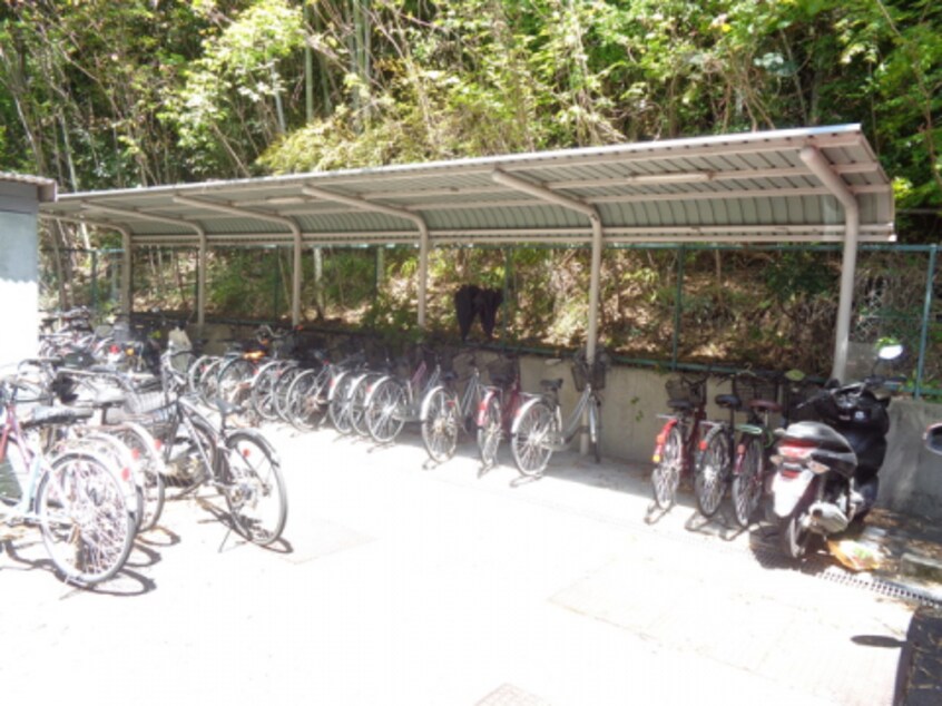  グリーンコート