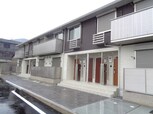 Risaia