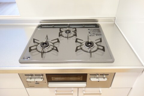  サンシャイン飛竜