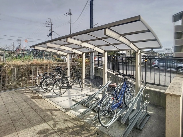  サニーコートアレックス