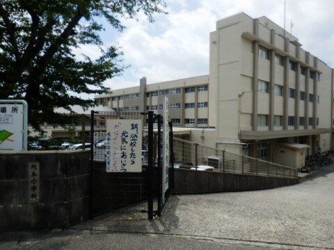 小学校まで1300m※大津市立坂本小学校 Elegrantia