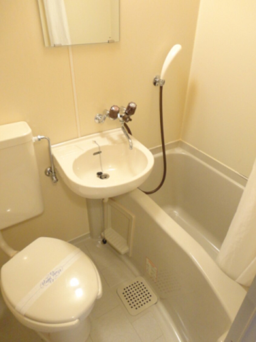  ホワイトハイツ