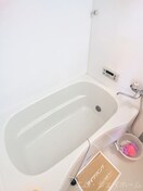  セジュールアースマーシⅢ