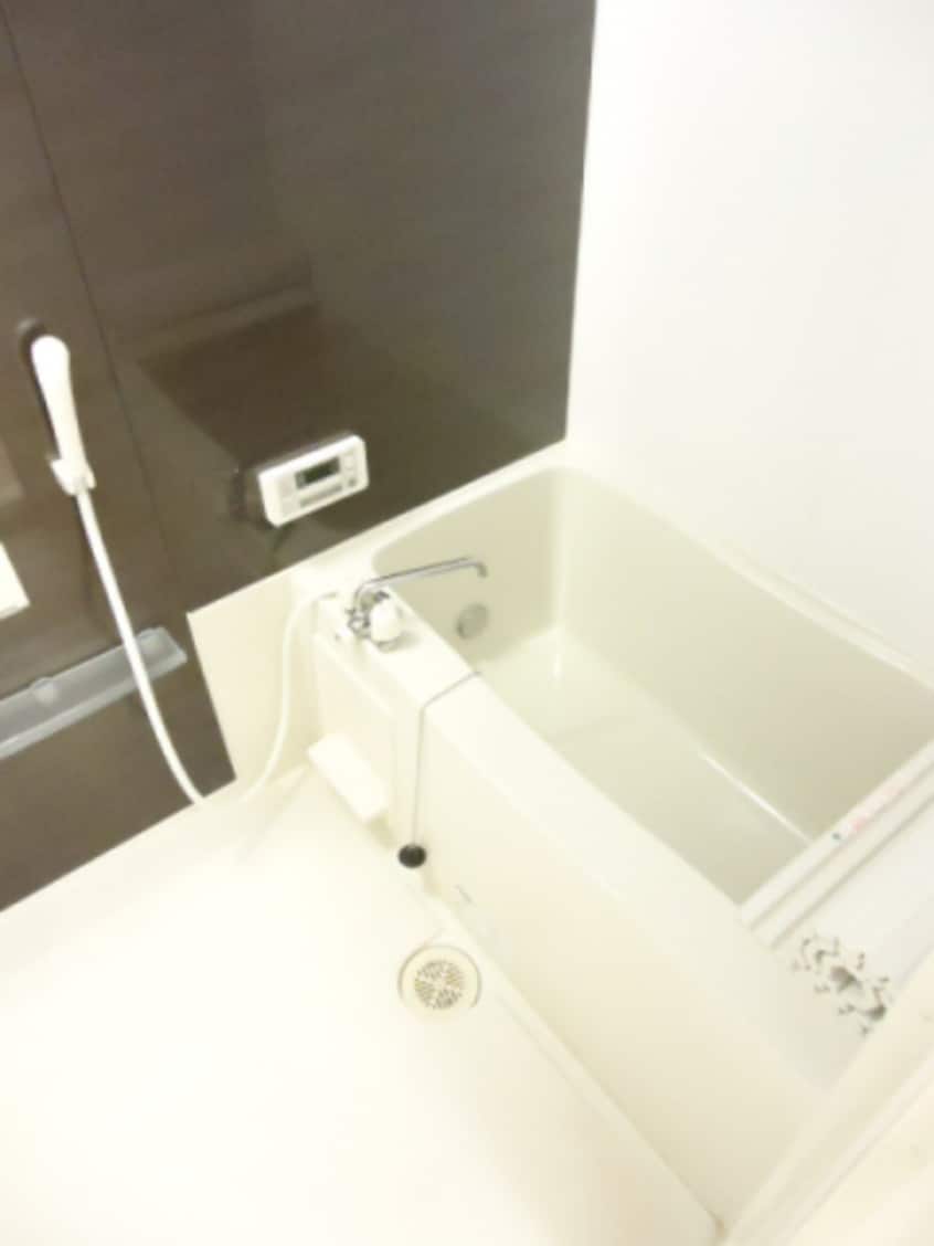  サニーリュート