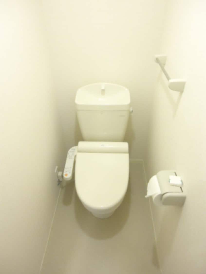  サニーリュート