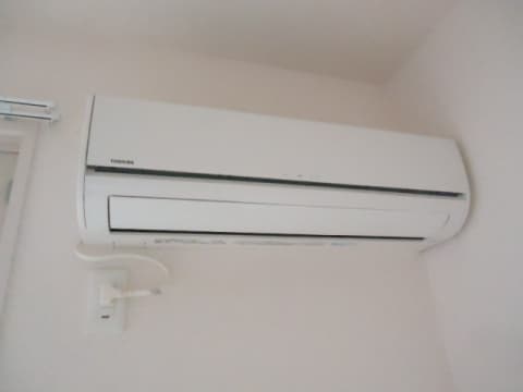  サニーリュート