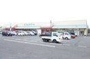 スーパーまで251m※フレンドマート　蒲生店 サンセール