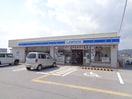 コンビニまで800m※ローソン　豊郷安食西店 キャンディ・ポット