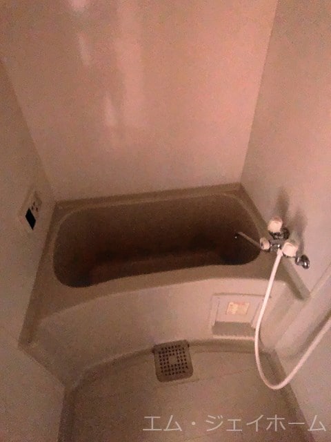  アヴニールタカラ