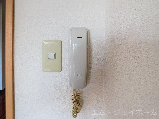  アヴニールタカラ