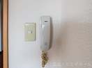  アヴニールタカラ