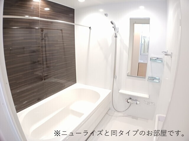  プラシード・アロッジオⅣ