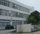 小学校まで1500m※彦根市立城東小学校 スーリールⅡ番館