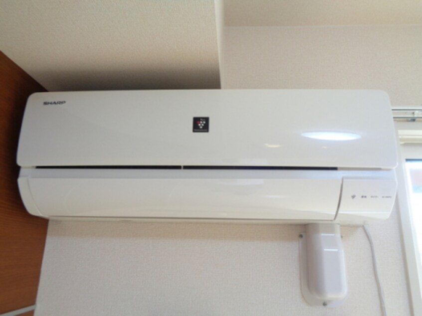  ブルームコート